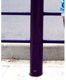 nico and | ベルト