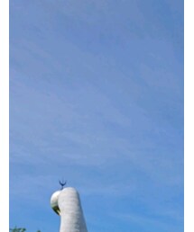 太陽の塔 | その他