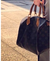 LOUIS VUITTON | ハンドバッグ