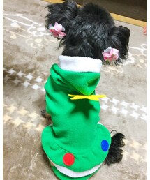 きなちゃん🐶💕 | その他