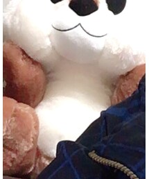 チップ | その他