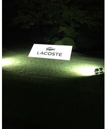 フランス大使館のグリーン🐊 | その他