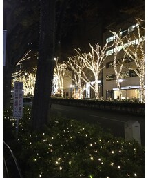 表参道イルミネーション | その他