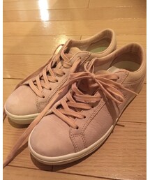 LACOSTE | スニーカー