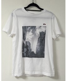 LACOSTE | Tシャツ/カットソー