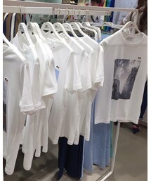 Lacoste×LESLIE KEE | Tシャツ/カットソー