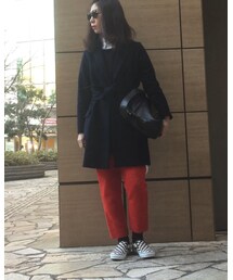 Inpaichthys kerri | その他パンツ