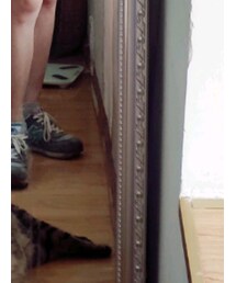 新伯伦 | その他シューズ