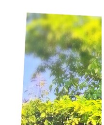 American Eagle | サングラス