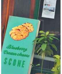 無印良品 | Tシャツ/カットソー