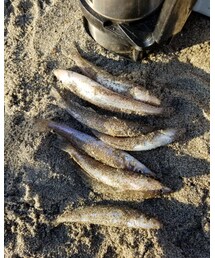 I had a big catch!! | その他
