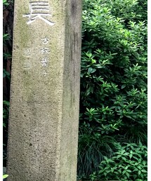 UNIQLO | その他パンツ