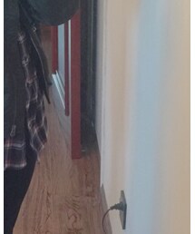 UNIQLO | シャツ/ブラウス