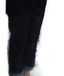 UNIQLO | デニムパンツ