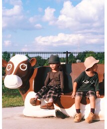 ハーベストの丘 | その他