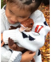 ティラノサウルス | おもちゃ