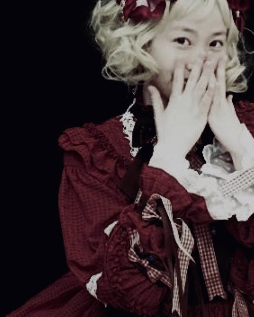 古典玩偶 | ワンピース