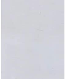 ZARA | Tシャツ/カットソー