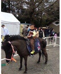 初の乗馬体験🐴 | その他