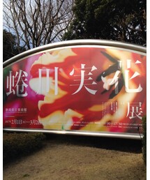 蜷川実花展静岡県立美術館🌸 | その他