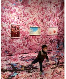🌸蜷川実花展静岡📸✨ | その他