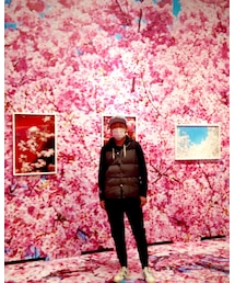 蜷川実花展📸桜🌸 | その他