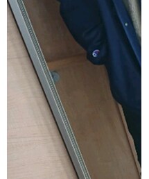 Champion | その他アウター