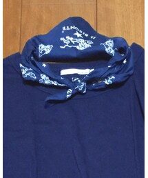 IL BISONTE | マフラー