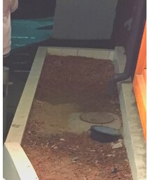 しまむら | ニットキャップ/ビーニー