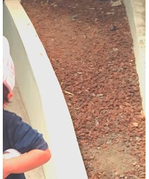 Birthday | ワンピース