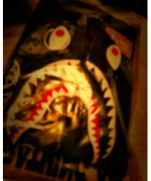 A BATHING APE | パーカー