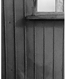 WARP | Tシャツ/カットソー