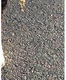 モアテン風 | スニーカー