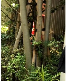 FOREVER 21 | その他パンツ