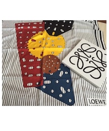 LOEWE | ストール/ショール
