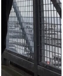 うみー | その他