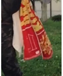 ギラヴァンツ | スポーツグッズ