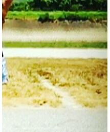 H&M | その他パンツ