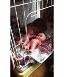 Birthday | 怖い…(￣□￣;)!!(スカート)