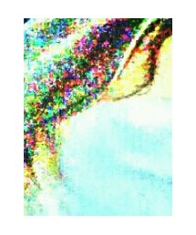 WEGO | Tシャツ/カットソー