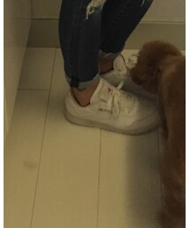 Reebok | スニーカー