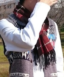 LE JUN | マフラー