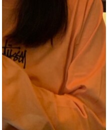 STUSSY | Tシャツ/カットソー