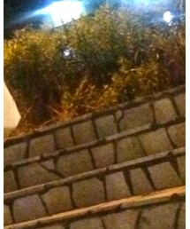 no brand | シャツ/ブラウス