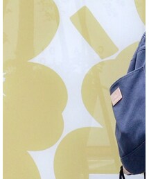 Snow Peak | バッグ