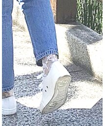 tutuanna | ソックス/靴下