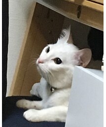 ムーちゃん | その他