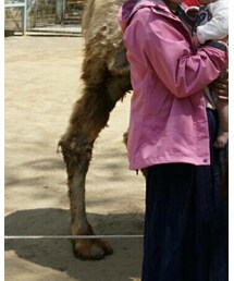 THE NORTH FACE | ナイロンジャケット