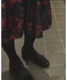 MACKINTOSH PHILOSOPHY | タイツ/ストッキング