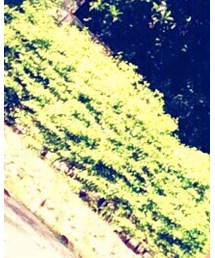 RAGEBLUE | その他パンツ